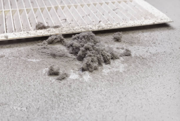 Best Air Duct Cleaning Near Me  in Beaver Creek, TX