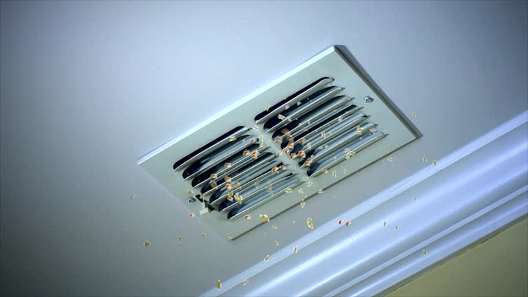 Best Affordable Air Duct Cleaning  in Beaver Creek, TX